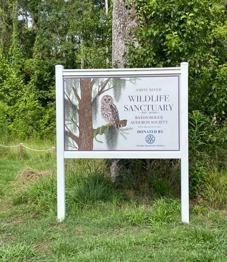 Baton Rouge Audubon Society Amite River Wildlife Sanctuary