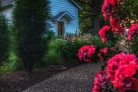 Shelter Gardens