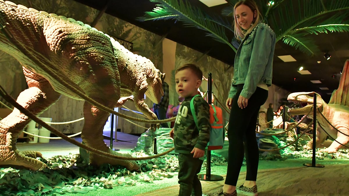 Jurassic Gardens