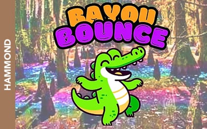 Bayou Bounce Of Hammond