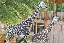 Hattiesburg Zoo