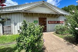 George's Museum Cafe