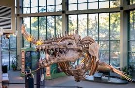 Mississippi Museum of Natural Science