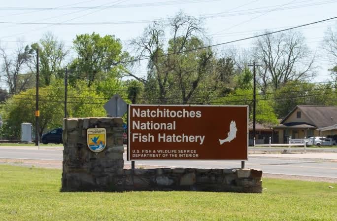 Natchitoches National Fish Hatchery