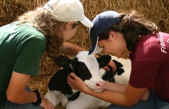Stoner's Hijos Hill, Inc. Dairy Farm & Corn Maze