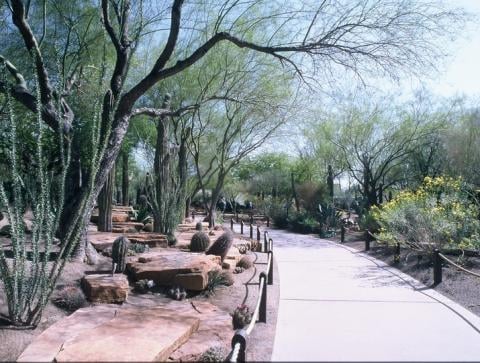 Ethel M Chocolates Factory & Cactus Garden