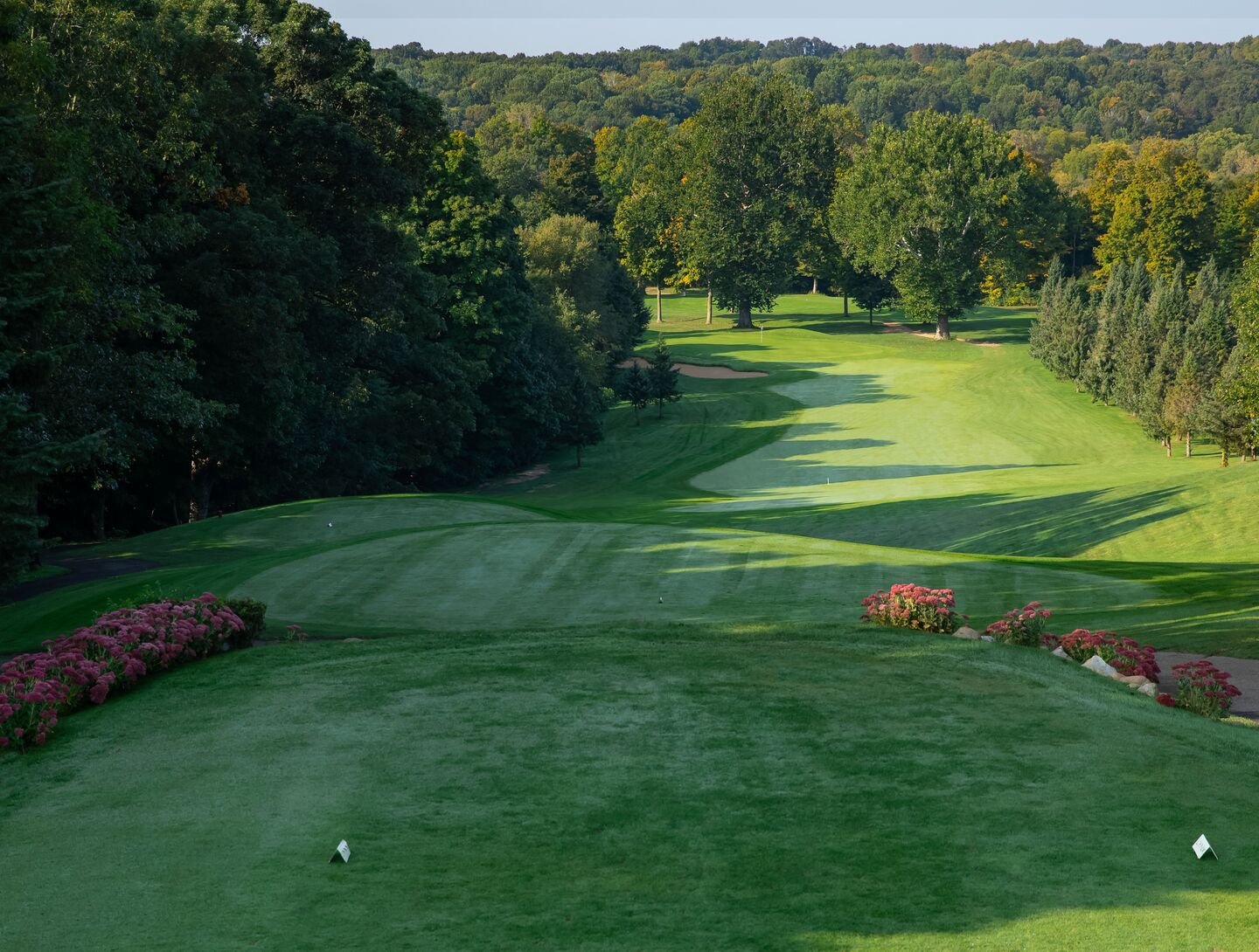Lynx Golf Course