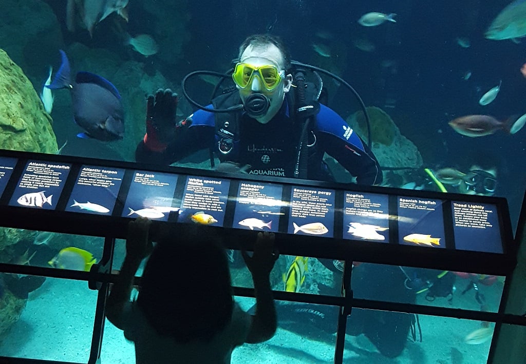 National Aquarium