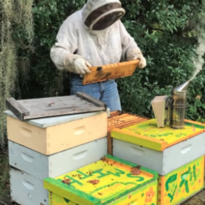 3Beez Honey Farm, Inc.