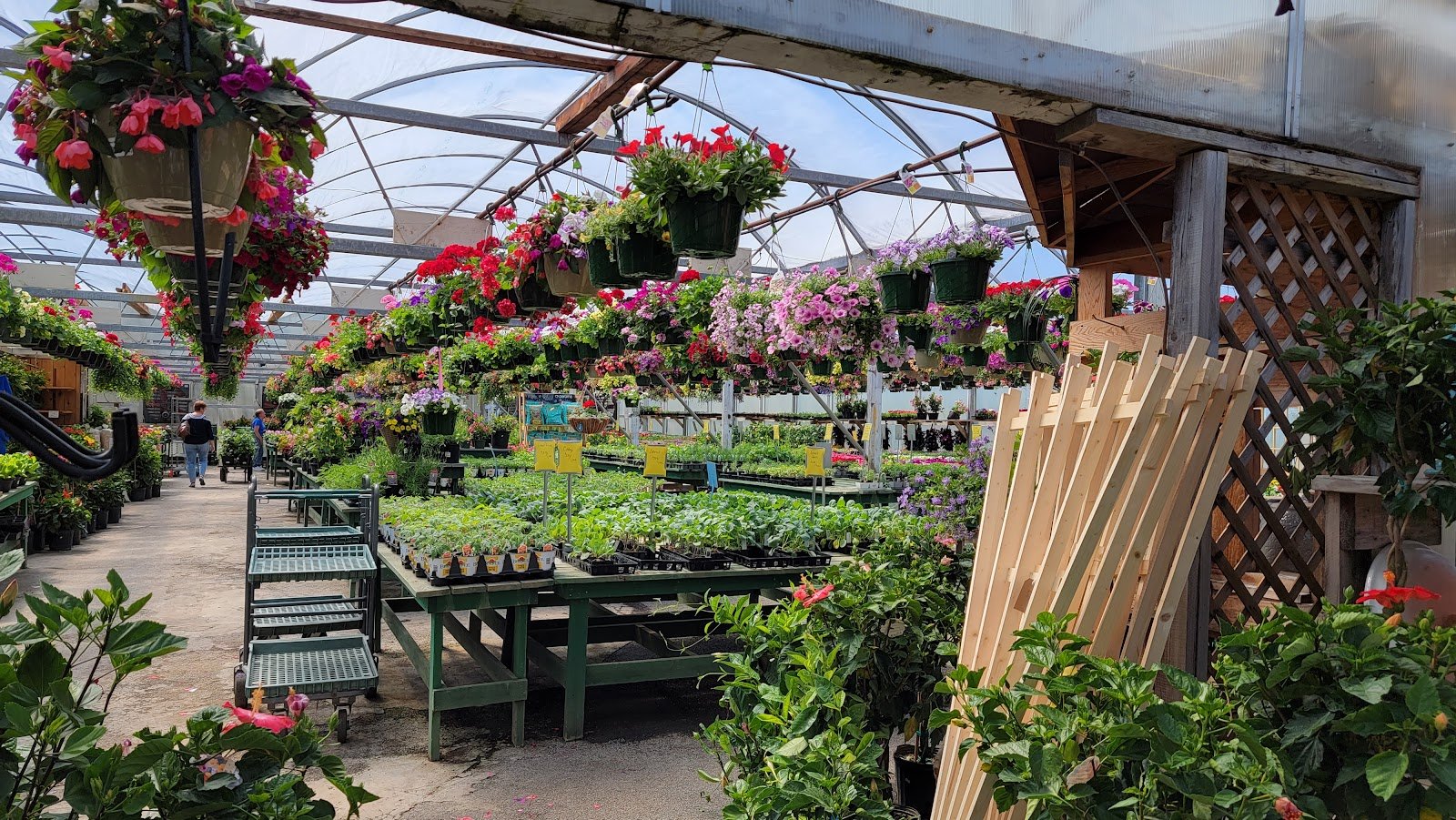 Alcotts Garden Center