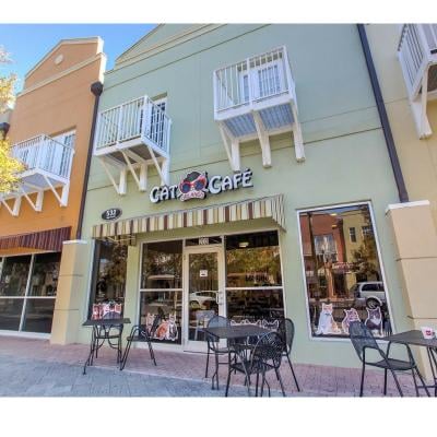 Orlando Cat Café