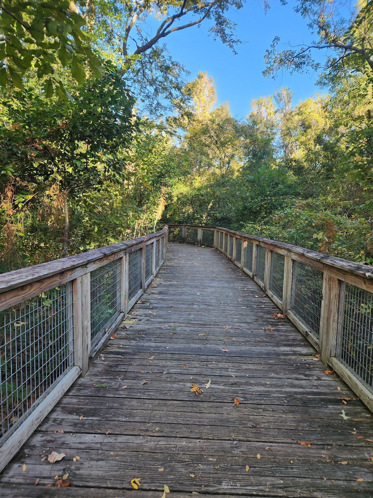 BREC's Bluebonnet Swamp Nature Center