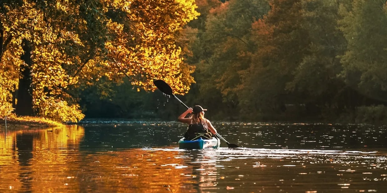 Kayak Branson