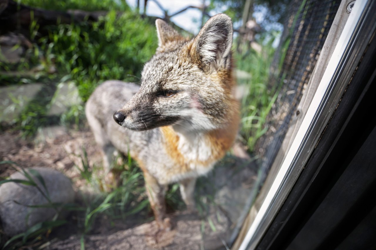 Red River Zoo
