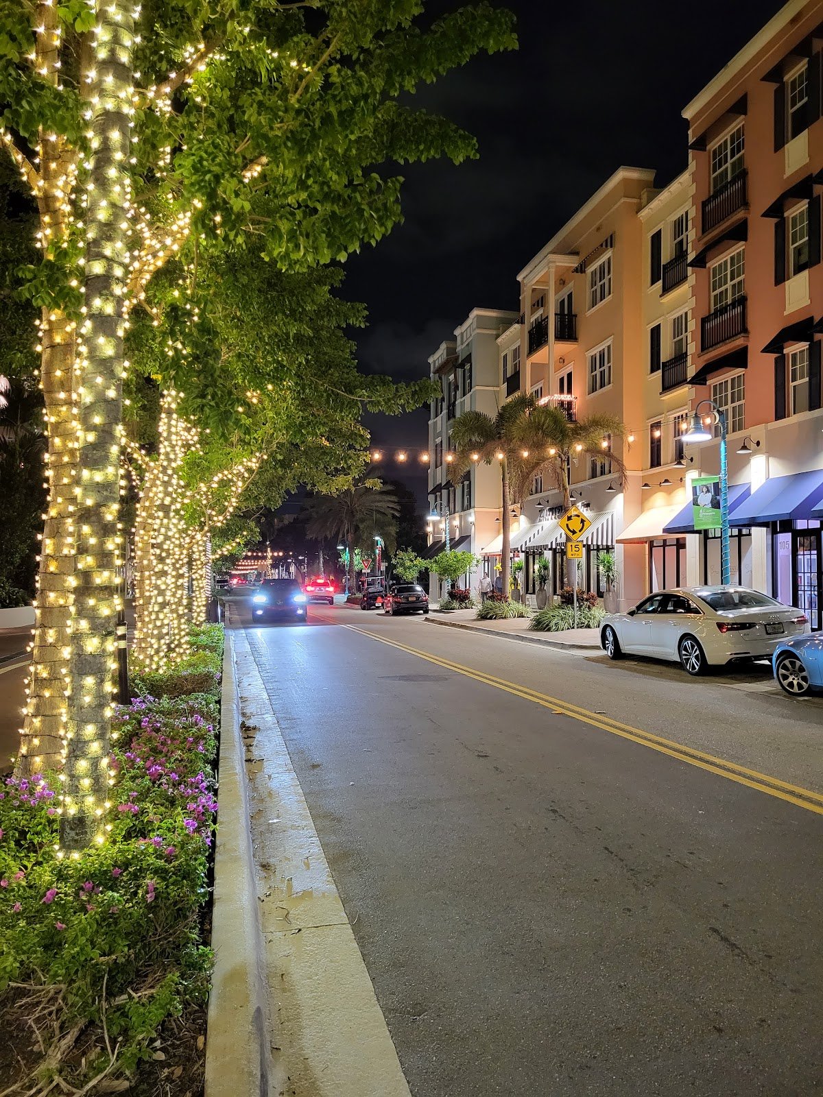 Pineapple Grove Arts District