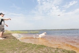 The Dog Pond at Lake Shelby