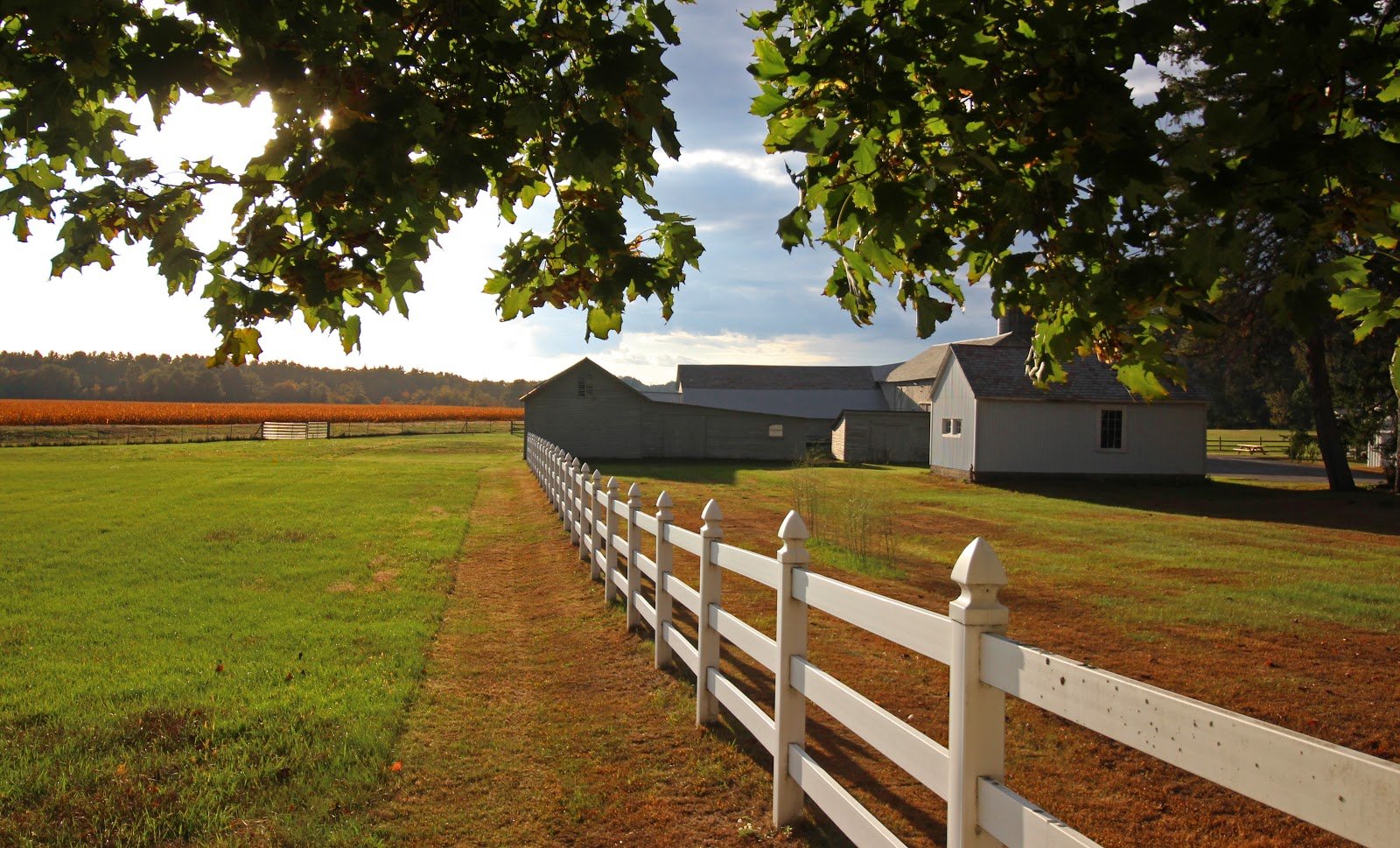 Pitney Meadows Community Farm