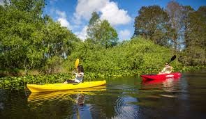Lake Kissimmee State Park