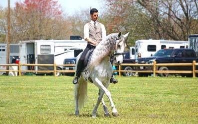 Mexico Farms Equestrian Center