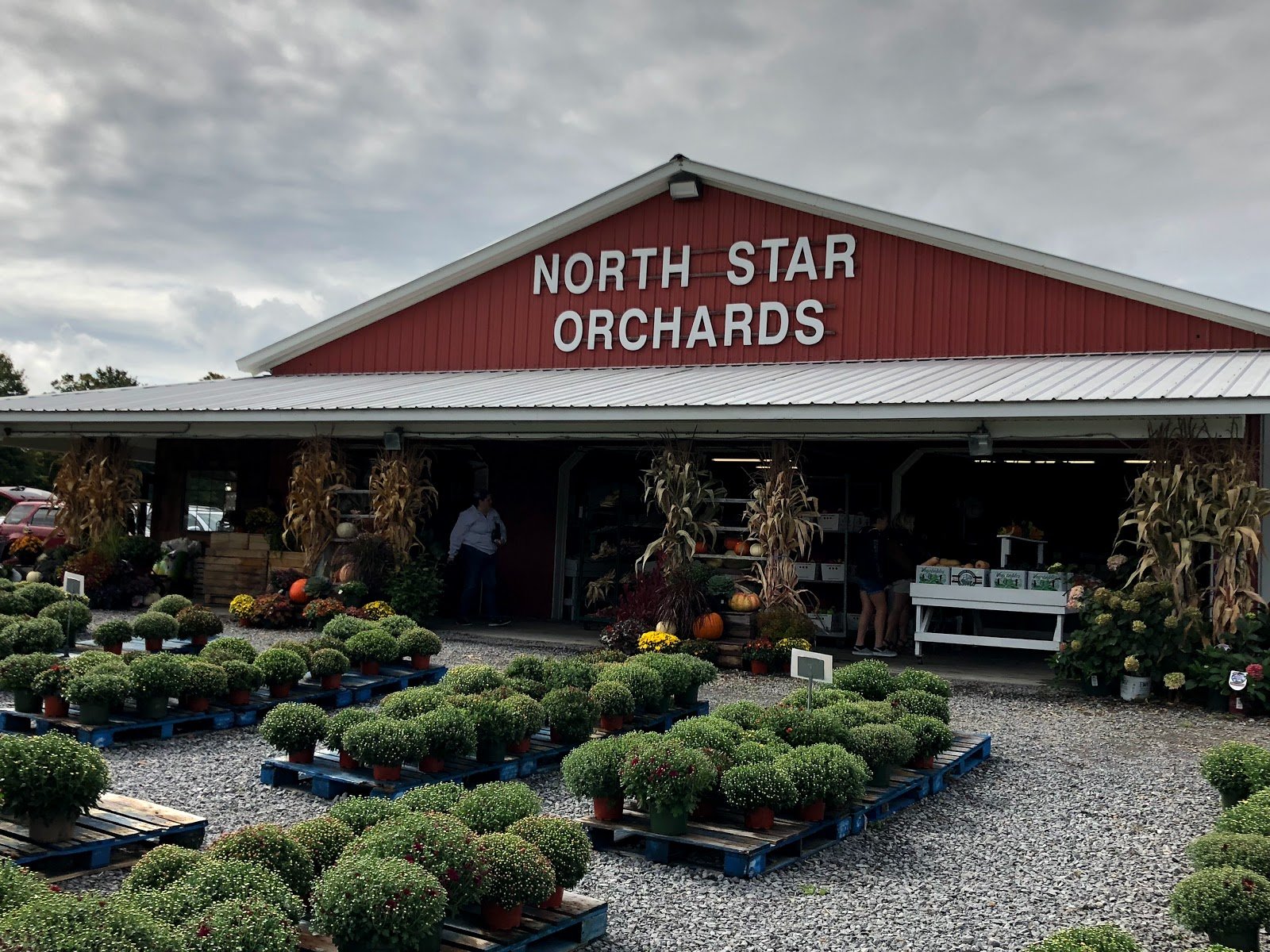 North Star Orchards