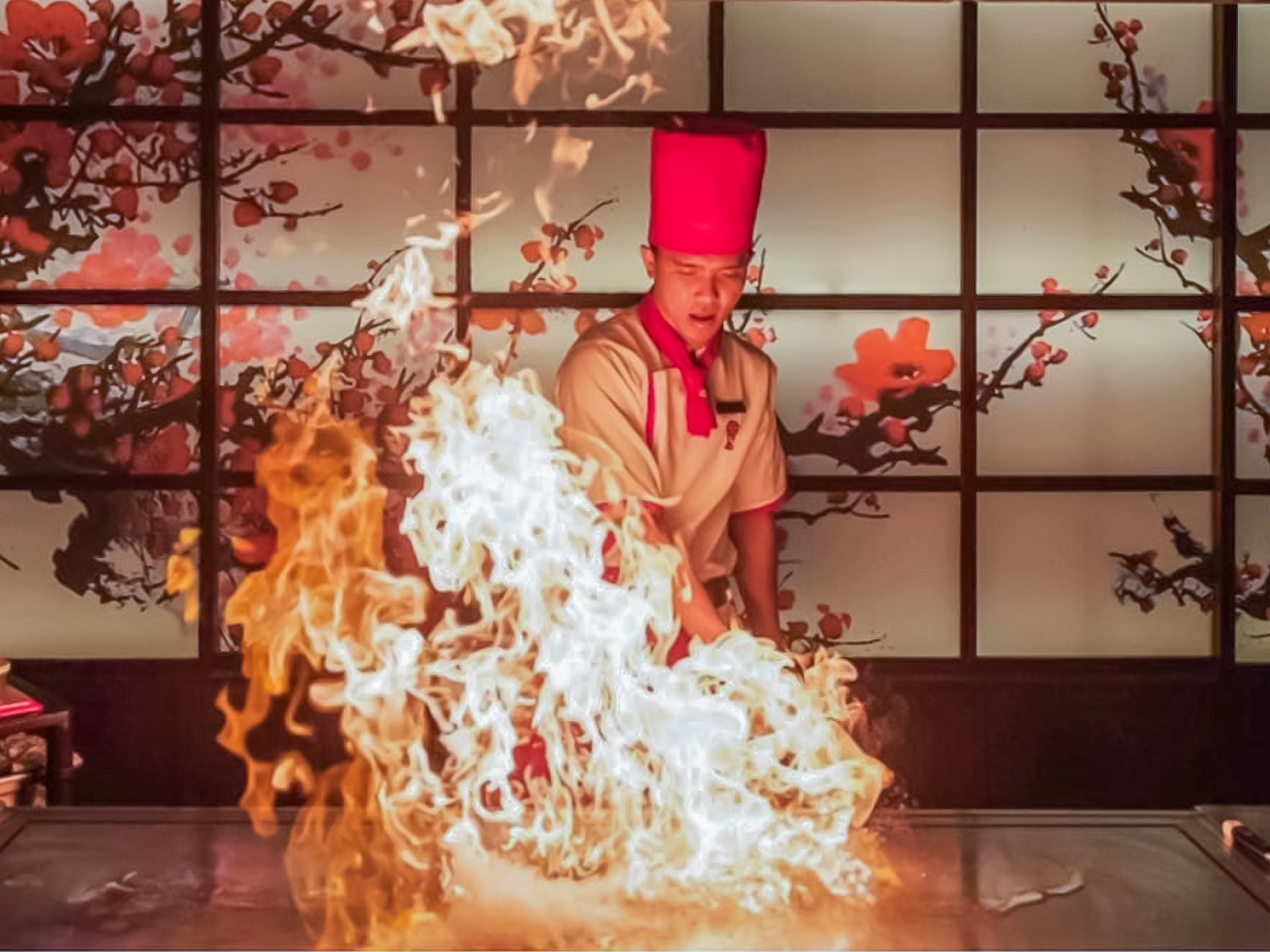 Hoshi Japanese Steakhouse and Asian Fusion
