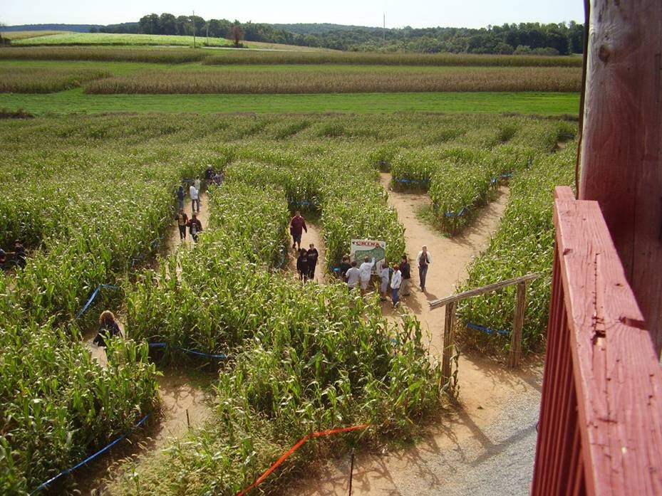 Maize Quest Corn Maze & Fun Park