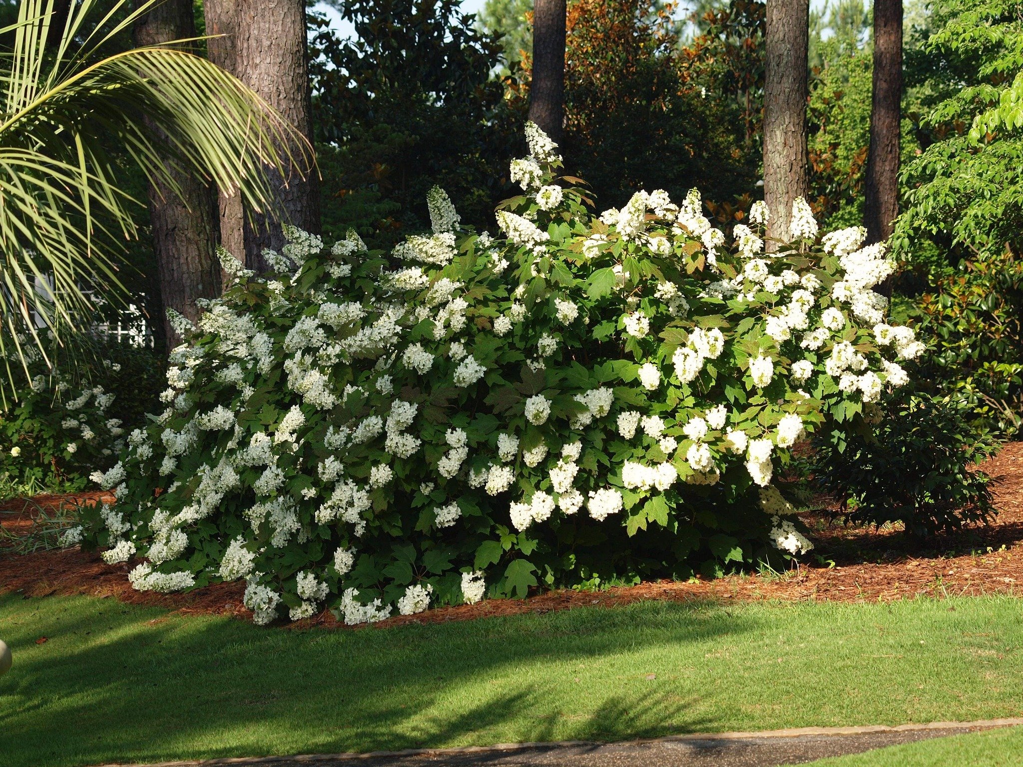 Aldridge Gardens
