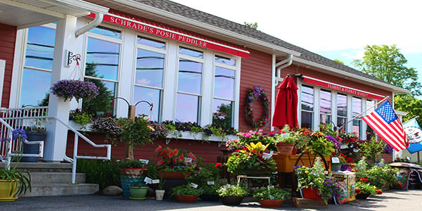 The Posie Peddler