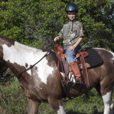 Lazy H Ranch Trail Rides