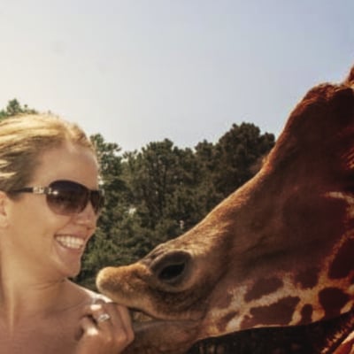 Original Orlando Tours