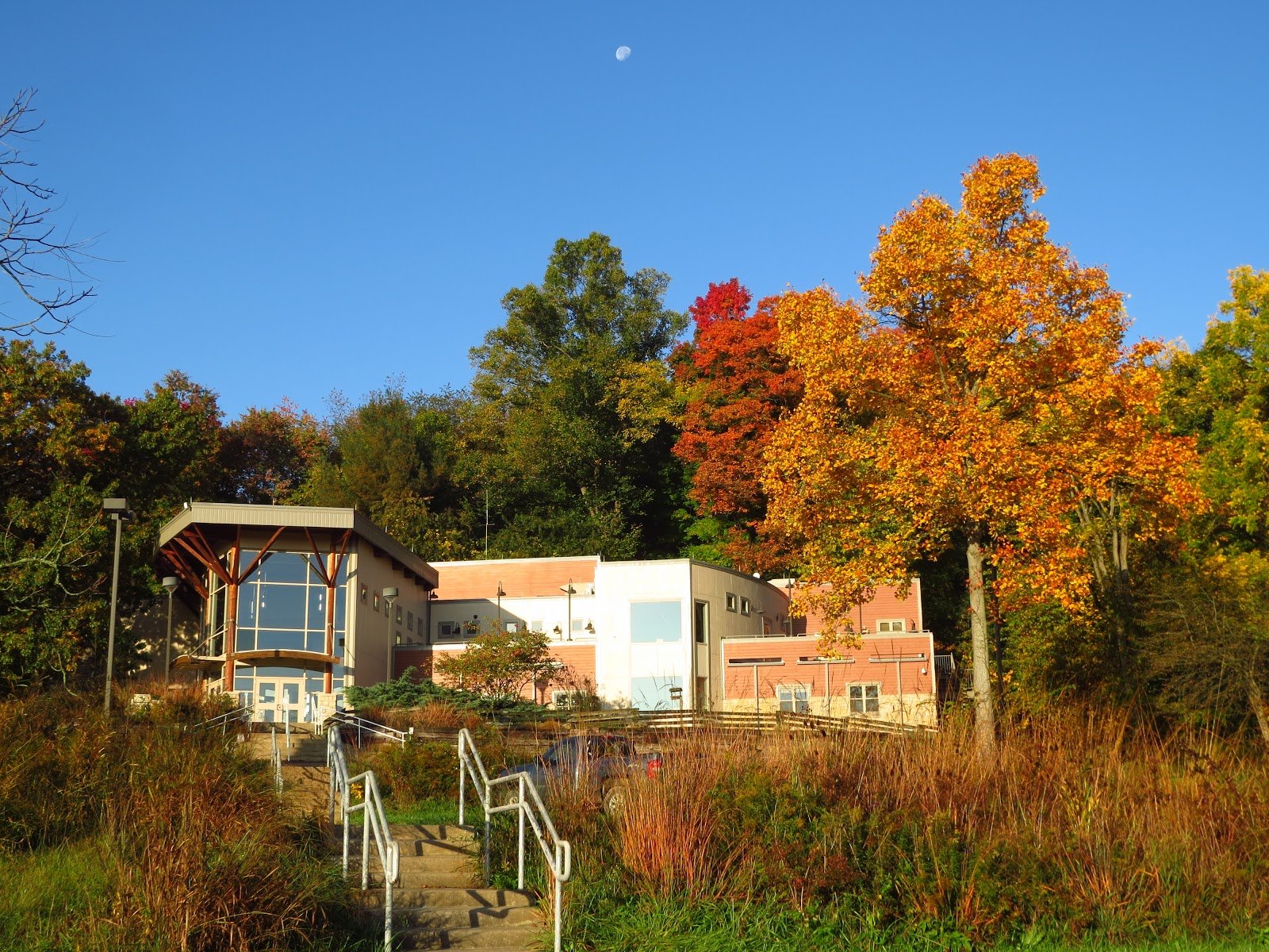 The Wilderness Center