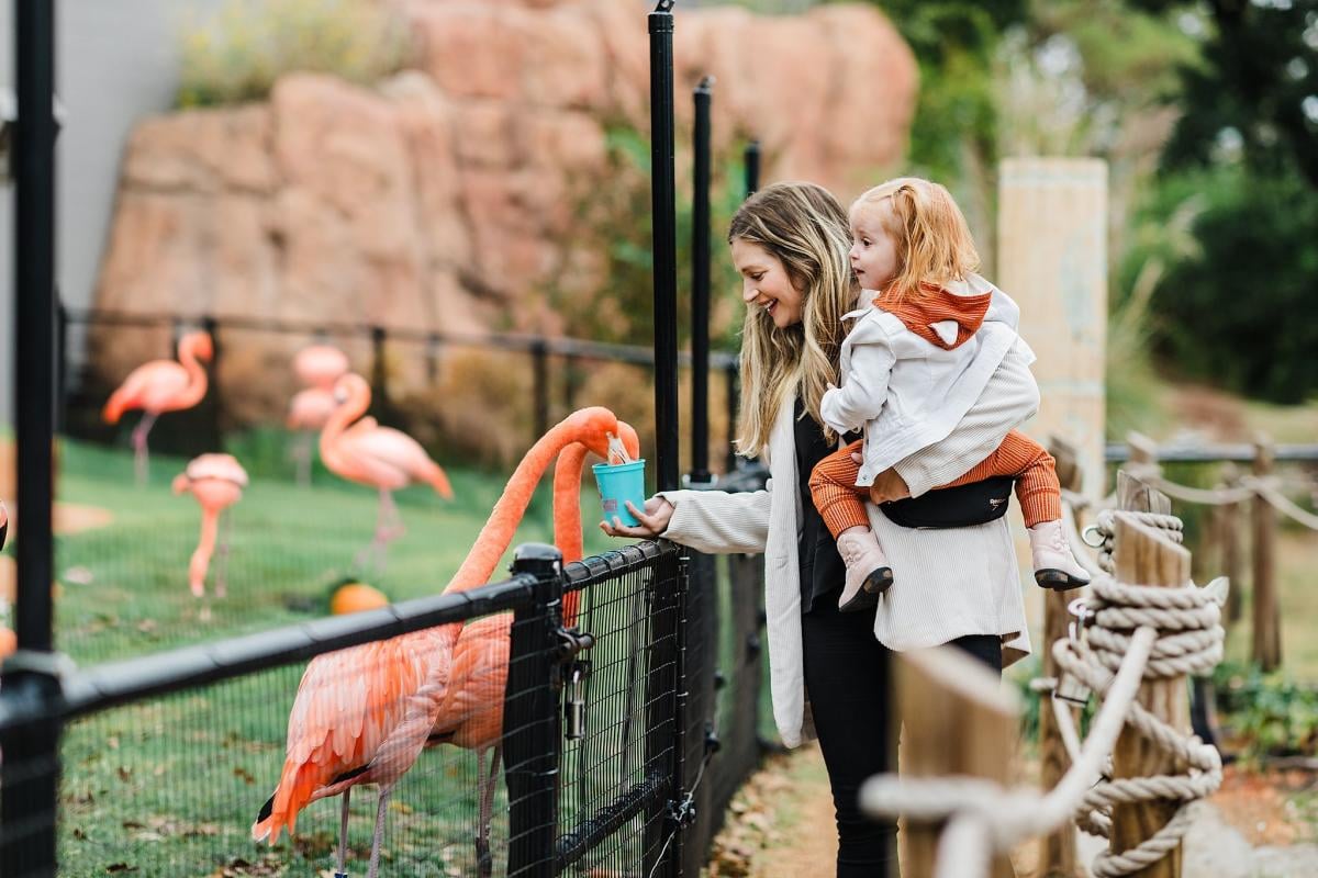 Oklahoma City Zoo & Botanical Garden