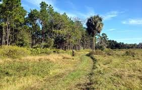 Colt Creek State Park