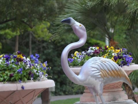 Flamingo Wildlife Habitat