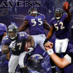 Baltimore Ravens