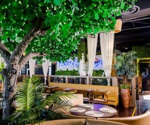 Tulum Modern Mexican