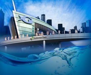 Georgia Aquarium
