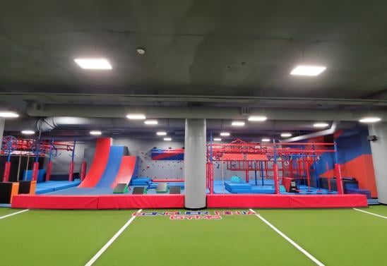 Conquer Ninja Gyms Fargo
