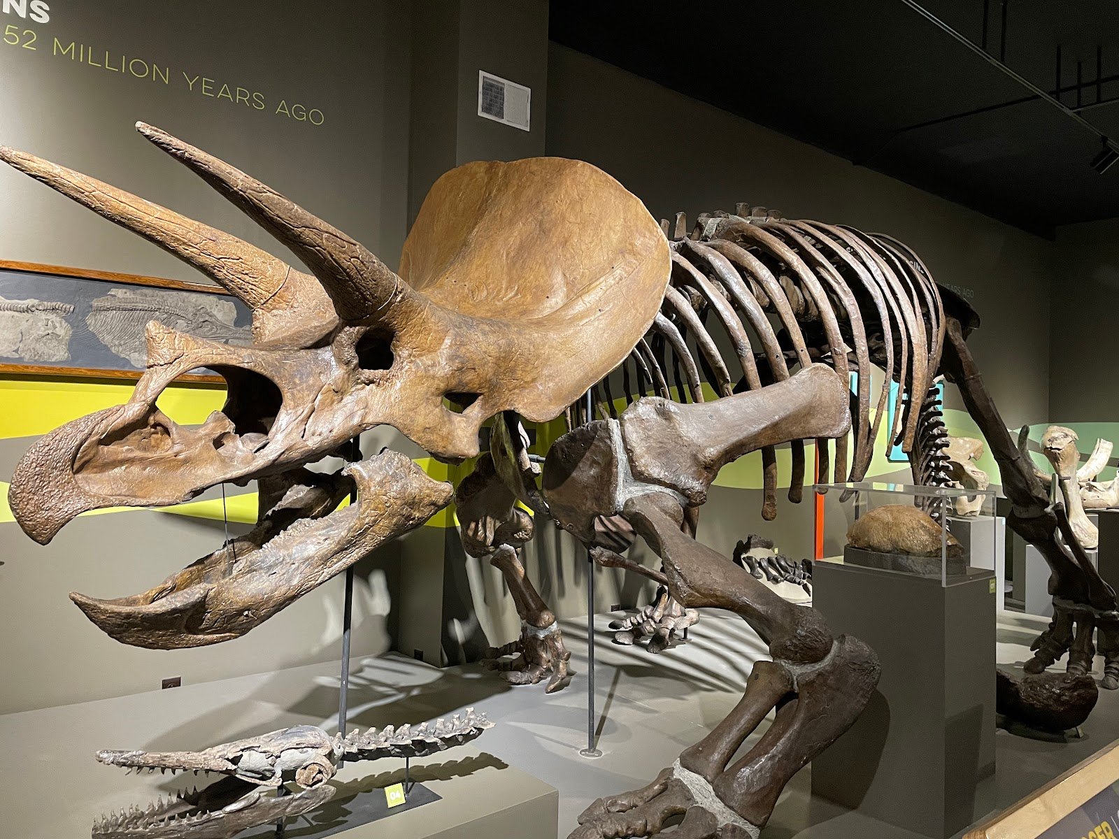 Buffalo Museum of Science