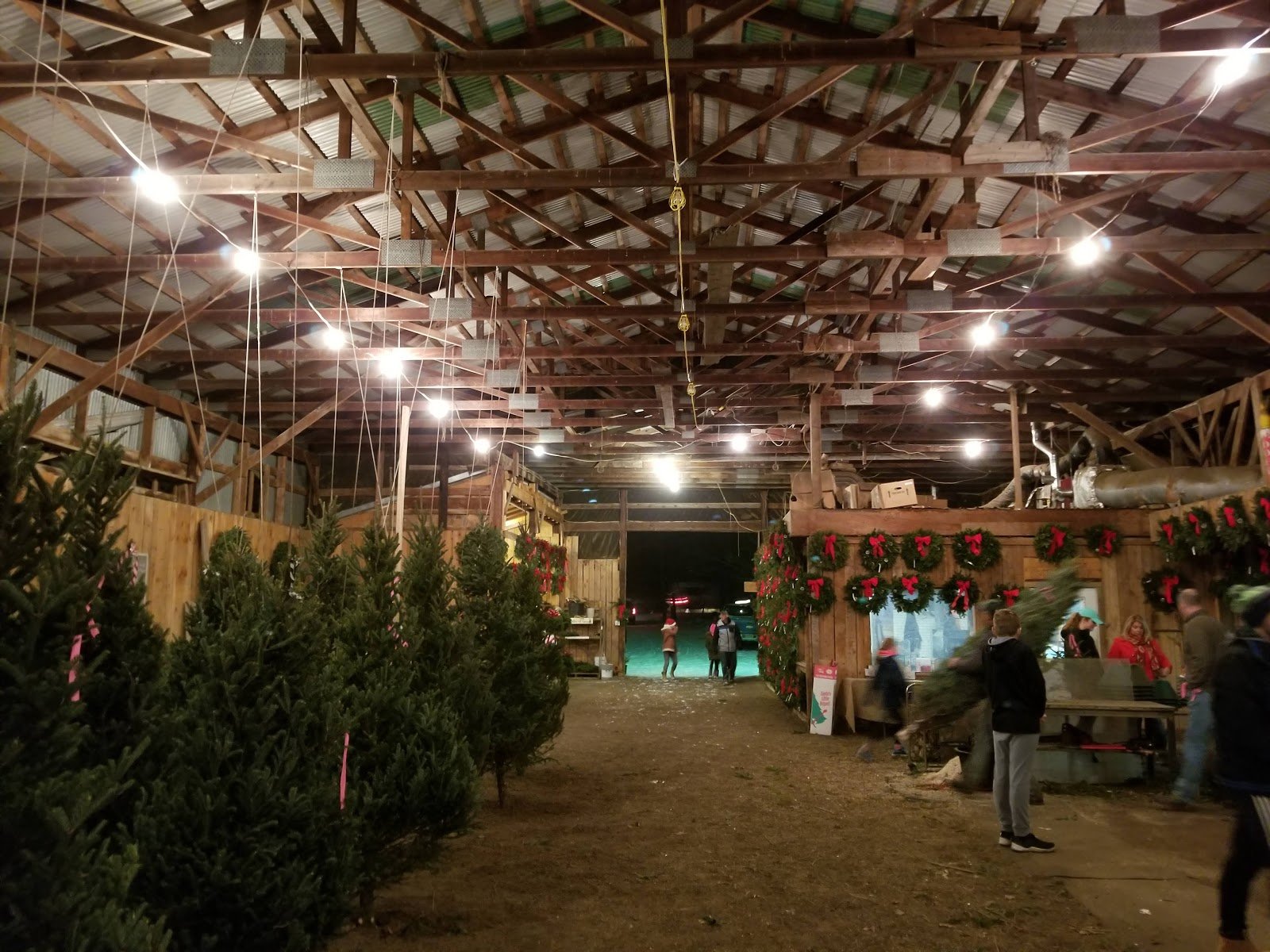 Massoud's Tree Farm