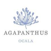 AGAPANTHUS - Ocala