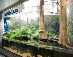 Alabama Aquarium at the Dauphin Island Sea Lab