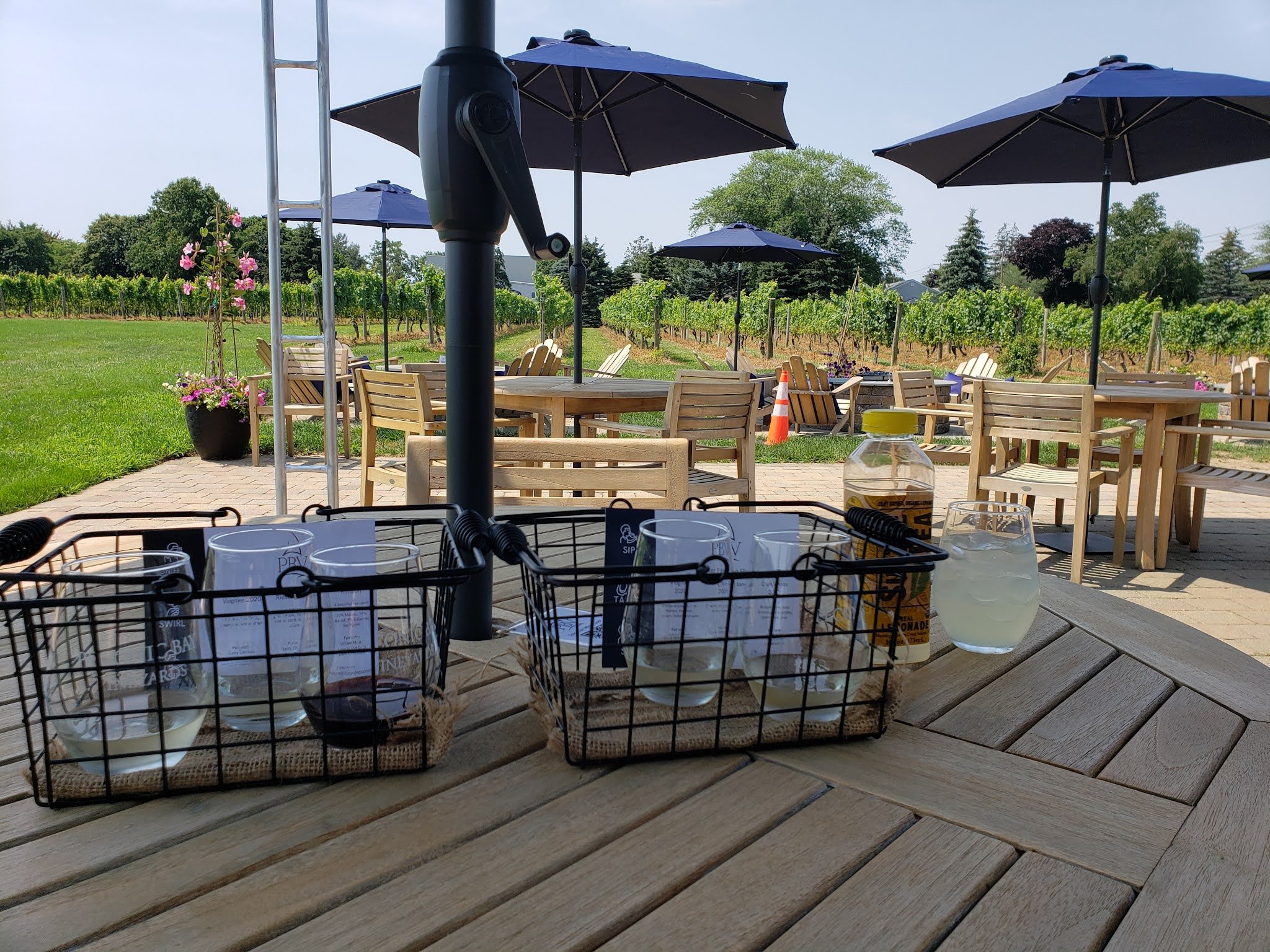 Peconic Bay Vineyards 