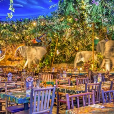 Rainforest Cafe