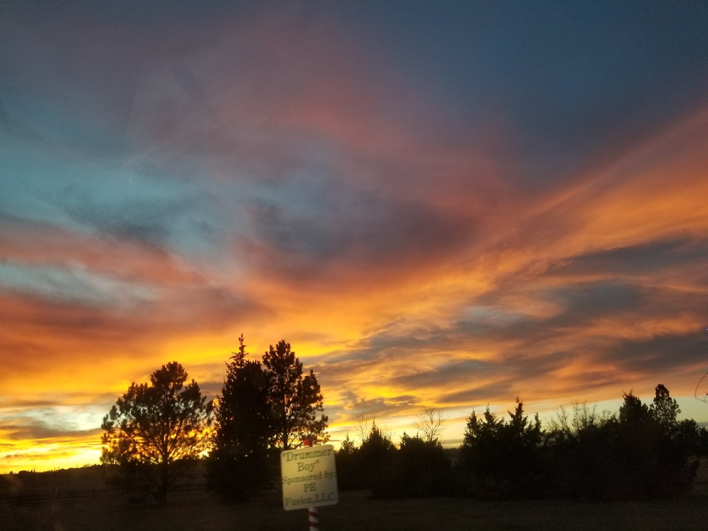 Cam Plex Park
