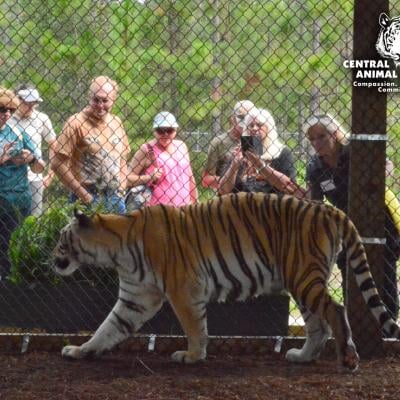 Central Florida Animal Reserve