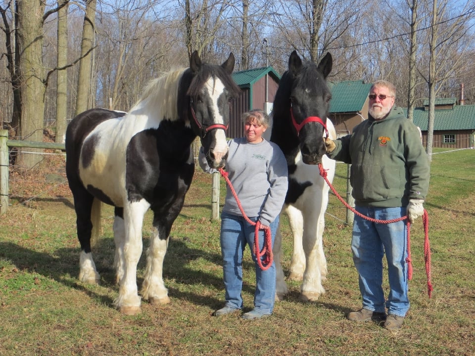 Link Maple Farm