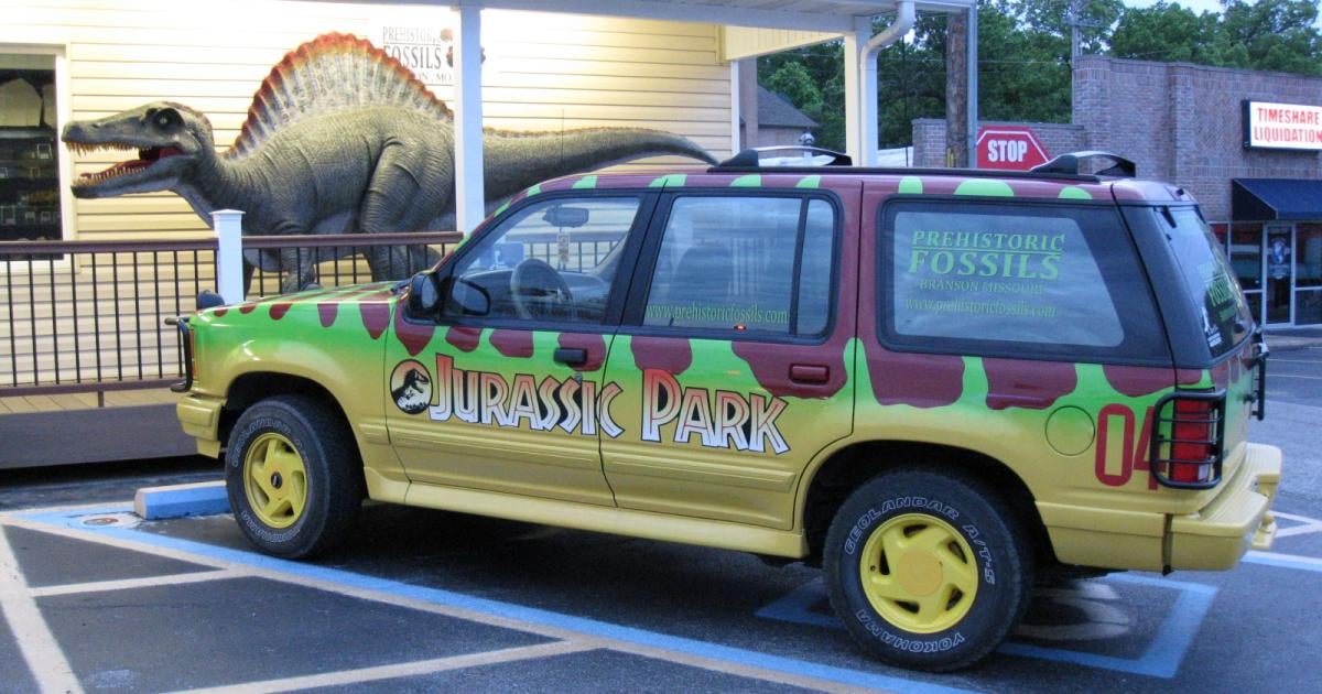 Prehistoric Fossils