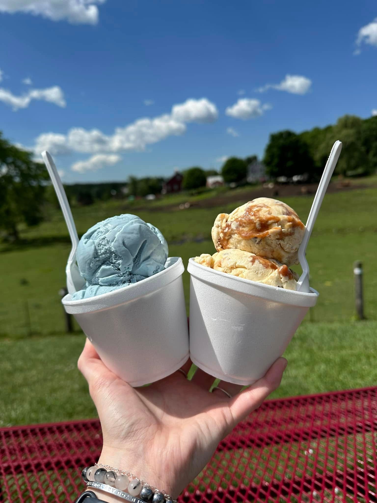 Rota Spring Ice Cream
