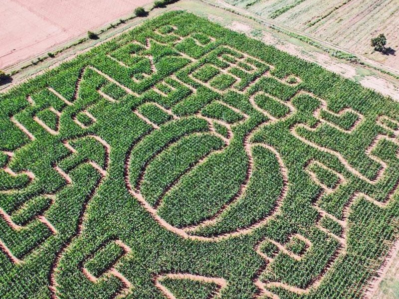 Morath Orchard